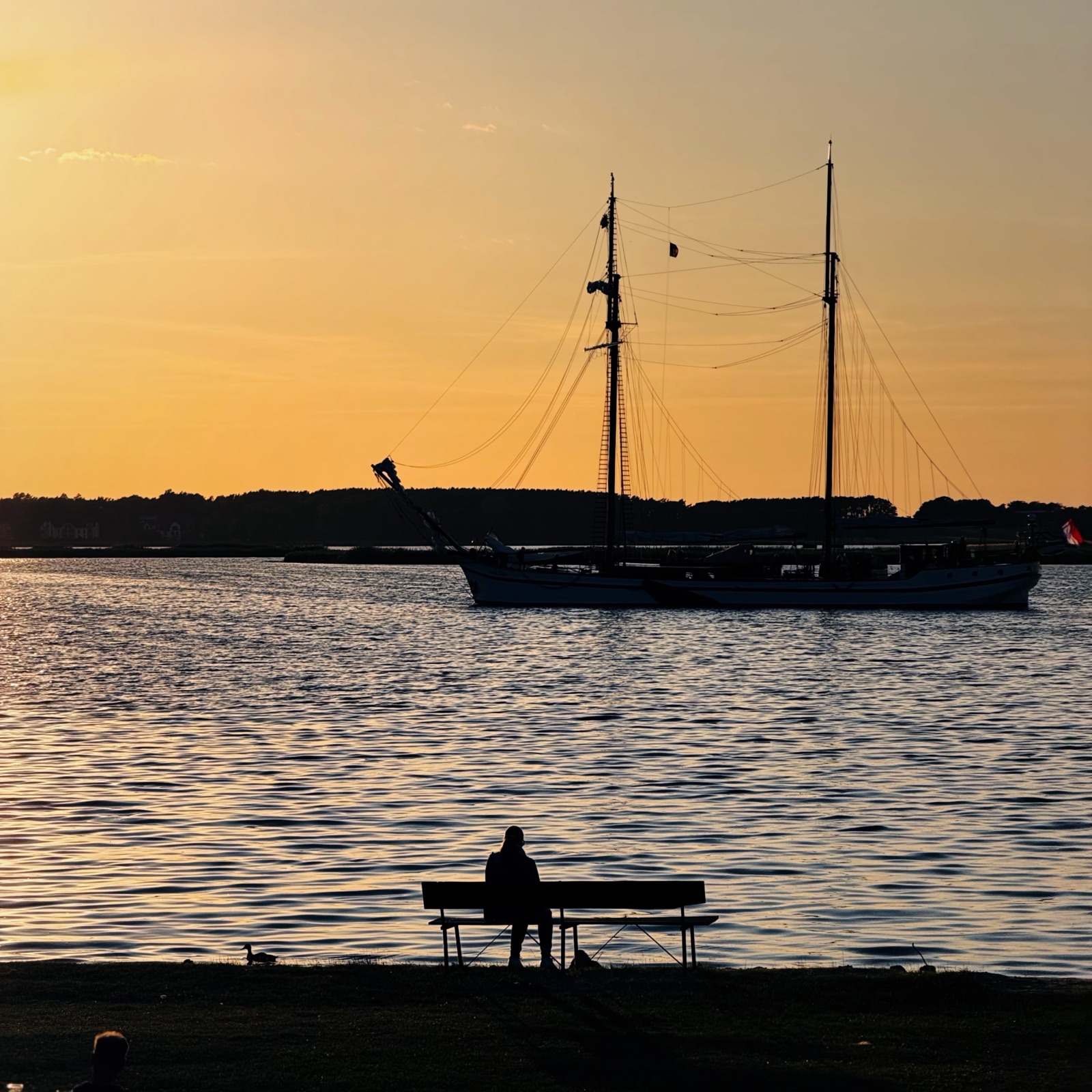 Innehalten — leere Bank und Segelschiff bei Sonnenuntergang am Achterwasser, Usedom